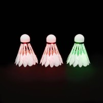 Lotki NBL6223 LED NILS