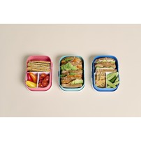 Lunchbox Mepal Campus Forest Friends