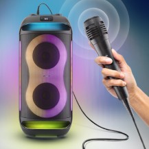 Głośnik Power Audio GoGEN BPS 696