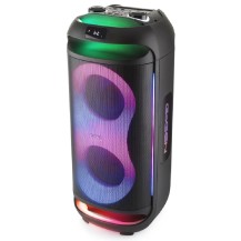 Głośnik Power Audio GoGEN BPS 696