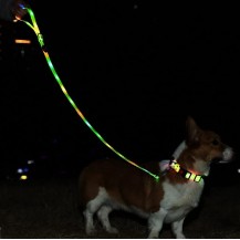 Smycz dla psa kolorowa iluminacja LED dla średnich i dużych psów, Zielony