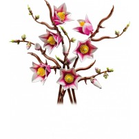 Lego Botanicals Gałązki Magnolii 11510