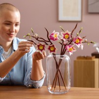 Lego Botanicals Gałązki Magnolii 11510
