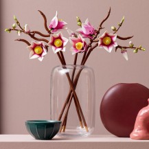 Lego Botanicals Gałązki Magnolii 11510