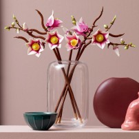 Lego Botanicals Gałązki Magnolii 11510