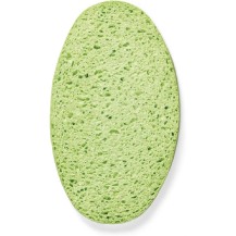 Gąbka Superchłonna Spontex ABSORB+ ECO 2 Szt Zielona