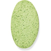 Gąbka Superchłonna Spontex ABSORB+ ECO 2 Szt Zielona