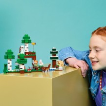 LEGO Minecraft 21593 Przetrwanie Pierwszej Nocy