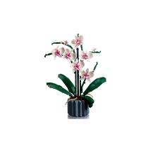 LEGO Icons Orchidea 10311