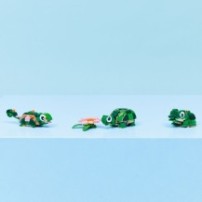 Lego Creator Żółw I Kwiat Lilii Wodnej 31377