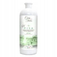 Koncentrat Do Płukania Corri D'italia Pisa 1000 ml