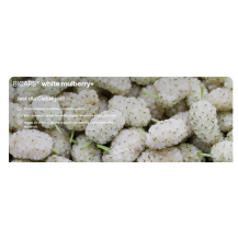 Formeds Bicaps White Mulberry+ 5903148622293