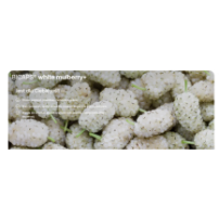 Formeds Bicaps White Mulberry+ 5903148622293
