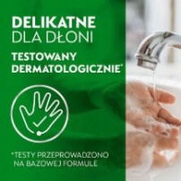 Mydło Do Rąk W Płynie Dettol Aloes I Bambus Pompka 250 ml