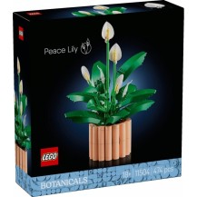 LEGO Botanicals 11504 Skrzydłokwiat
