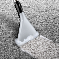 Odkurzacz piorący Bosch AquaWash&Clean BWD421POW