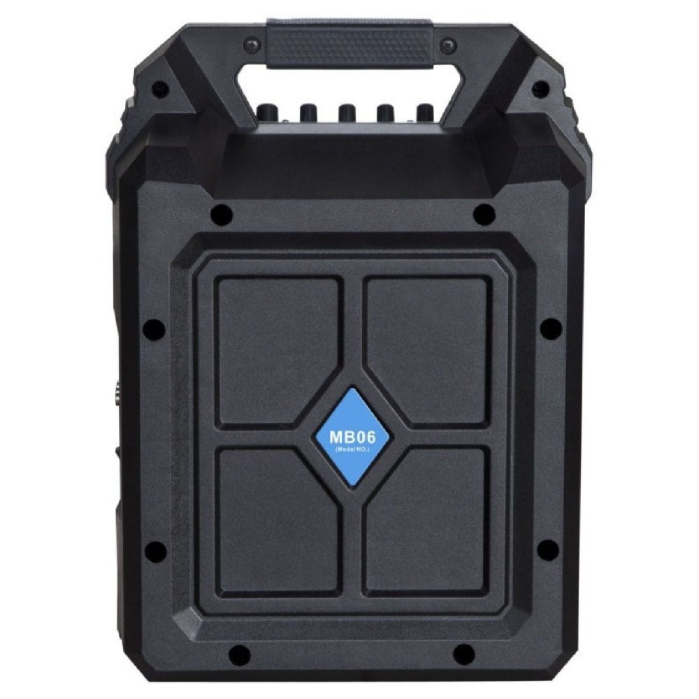 Głośnik Blaupunkt MB06