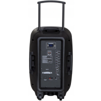 Kolumna aktywna Blaupunkt PA12