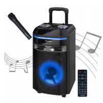 Głośnik Blaupunkt PS6