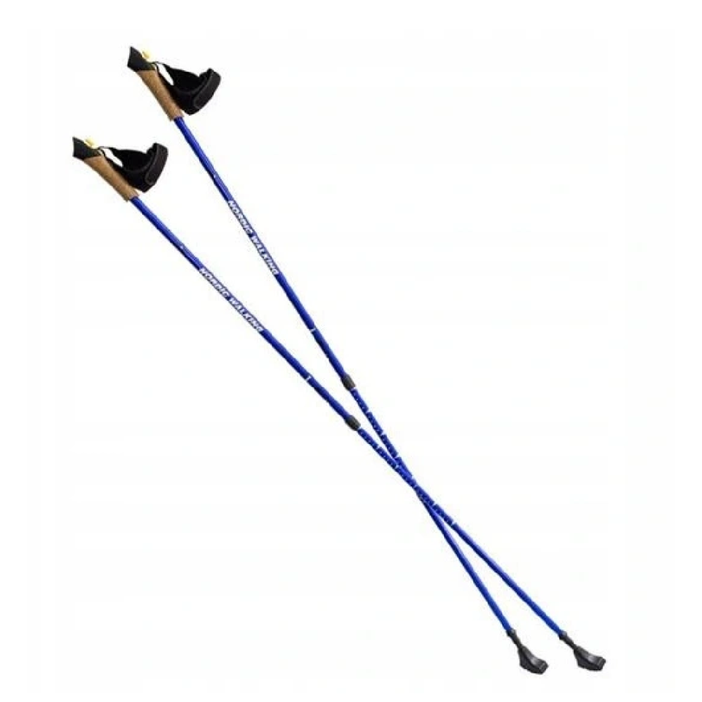 Kije do nordic walking Nils NW607 niebieskie