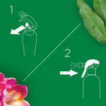 Air Wick Air Spray Tropikalny Eukaliptus & Frezja 237ml