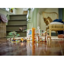 LEGO Friends Mia ratowniczka dzikich zwierząt 41717