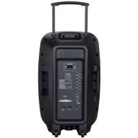Blaupunkt PA 15 system audio z Bluetooth i funkcją karaoke