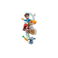 Lego Friends Dom Paisley 41724