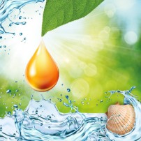 Automatyczny odświeżacz powietrza z wkładem Air Wick ACTIVE FRESH morska bryza 228 ml