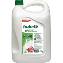 Ludwik płyn do mycia naczyń 5kg Mięta