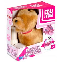 Edu%26Fun Artyk Chodzący zwierzak - piesek Rudy 