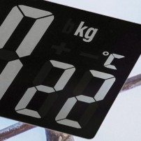 Waga Łazienkowa Zelmer ZBS1011
