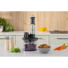 Blender Ręczny Amica BM7017 1000W