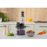 Blender Ręczny Amica BM7017 1000W